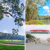 DỊCH VỤ XE ĐƯA ĐÓN TRÀ VINH THỊ XÃ DUYÊN HẢI DỊCH VỤ XE ĐƯA ĐÓN TRÀ VINH THỊ XÃ DUYÊN HẢI